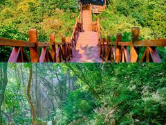 -大岭沟猕猴桃谷风景区