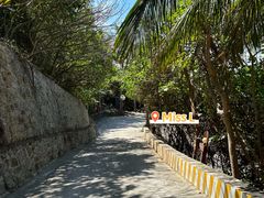 -海南分界洲岛旅游区