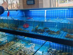 -佰园全日西餐厅-厦门佰翔软件园酒店