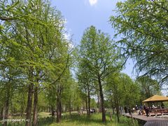 -宁波杭州湾国家湿地公园