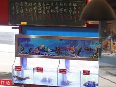 -小龍鳳·港式海鲜打边炉(沙湖路店)