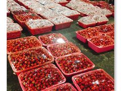 -菜园坝水果市场