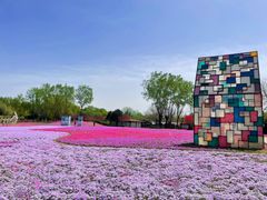 -石家庄市植物园