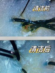 -章光101防脱养发荟