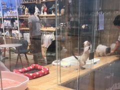 -狗道宠物(常熟印象城店)