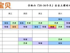 -金宝贝国际早教(洛龙正大校区)