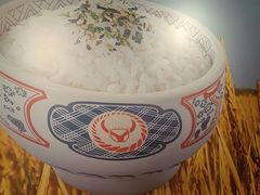 -吉野家(回龙观同成街店)