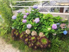 -唐咖精品咖啡(大理古城手冲店)