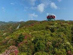 -贵州百里杜鹃风景名胜区