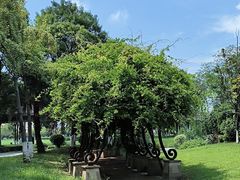 -府河摄影公园