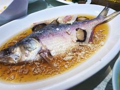 -申宴酒楼(王子百货店)