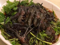 醉虾-小实惠嘉(威海路店)