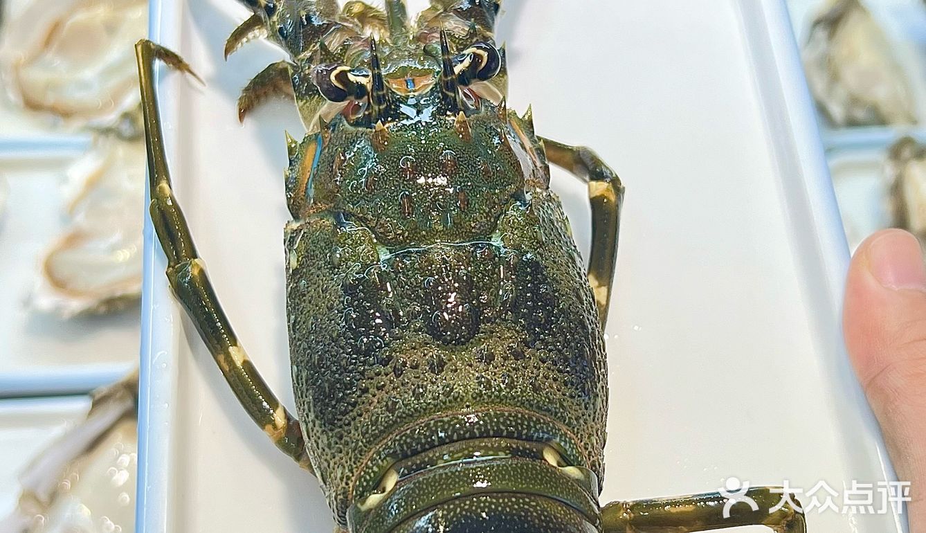 vocal不要太爽了 这家店就在地铁站门口 