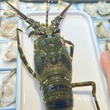 vocal不要太爽了 这家店就在地铁站门口 