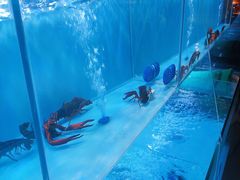 -虾弄弄海派小龙虾·牛羊蝎子火锅