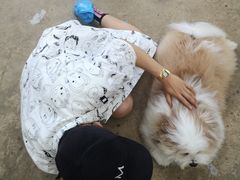 -TrueLove @ Neverland (Husky Cafe)