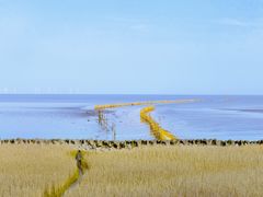 -南汇嘴观海公园