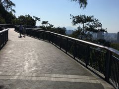 -金鸡山公园