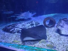 -海合安武汉极地海洋公园