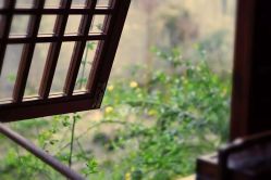 -贞禾轻医美·连锁