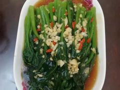 -家家月嫂育婴师育儿嫂(龙岗直营店)
