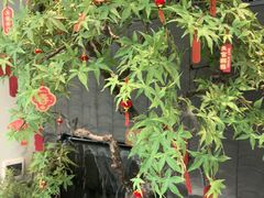 -大榕树下顺德菜(融创茂店)