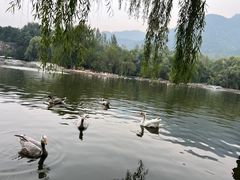 -西安秦岭野生动物园