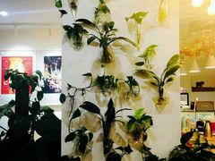 -威克特披萨汉堡