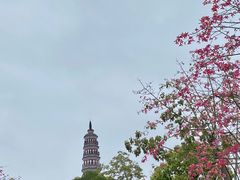 -顺峰山公园