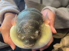 -永安鱼庄·镇江菜(东吴路店)