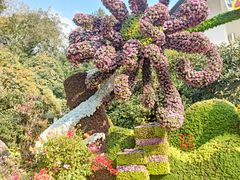 -杭州植物园