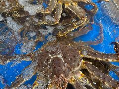 -浦江城市生活广场(江月路店)