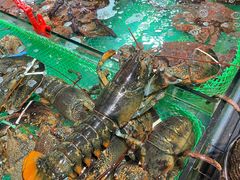-79号渔船海鲜饭店(宝安店)