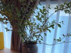 -泰合玺·精油疗愈SPA(狮山天街生活广场店)