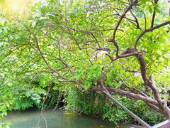 -贵阳市花溪国家城市湿地公园