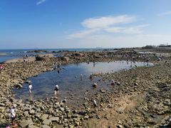 -青岛第二海水浴场