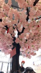 -简影造型·自选烫染接发salon