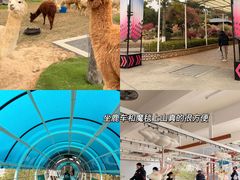 -盈香心动乐园