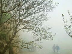 -泰山风景名胜区
