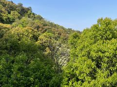 -宁波市保国寺古建筑博物馆