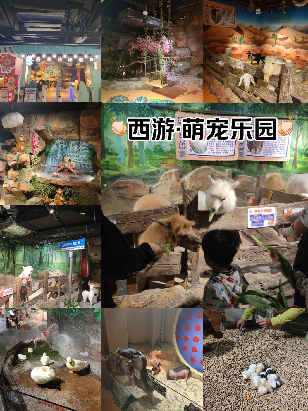 西游动物城•萌宠乐园