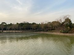 -黄兴公园