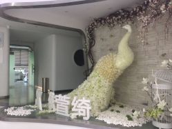 -依萱绮医疗美容