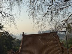 -大雁山风景区