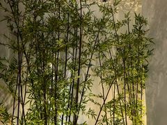 店内环境-潮堂 · 潮州菜(国贸商城店)