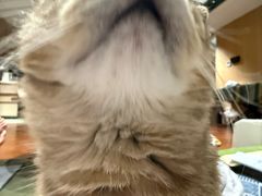 -博特宠物医院24h犬猫全科.骨科·异宠