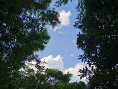 -三亚亚龙湾人间天堂鸟巢度假村