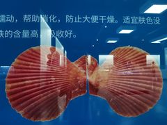 -贝壳王国博物馆