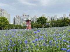 -大宁公园