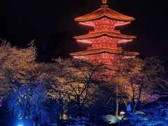 -东湖磨山景区樱花园-停车场